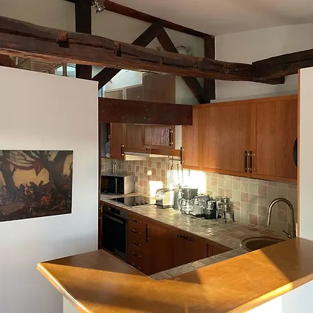 Apartment Du Prince, 70 Sqm Ac Lift Terrace Garage Paris